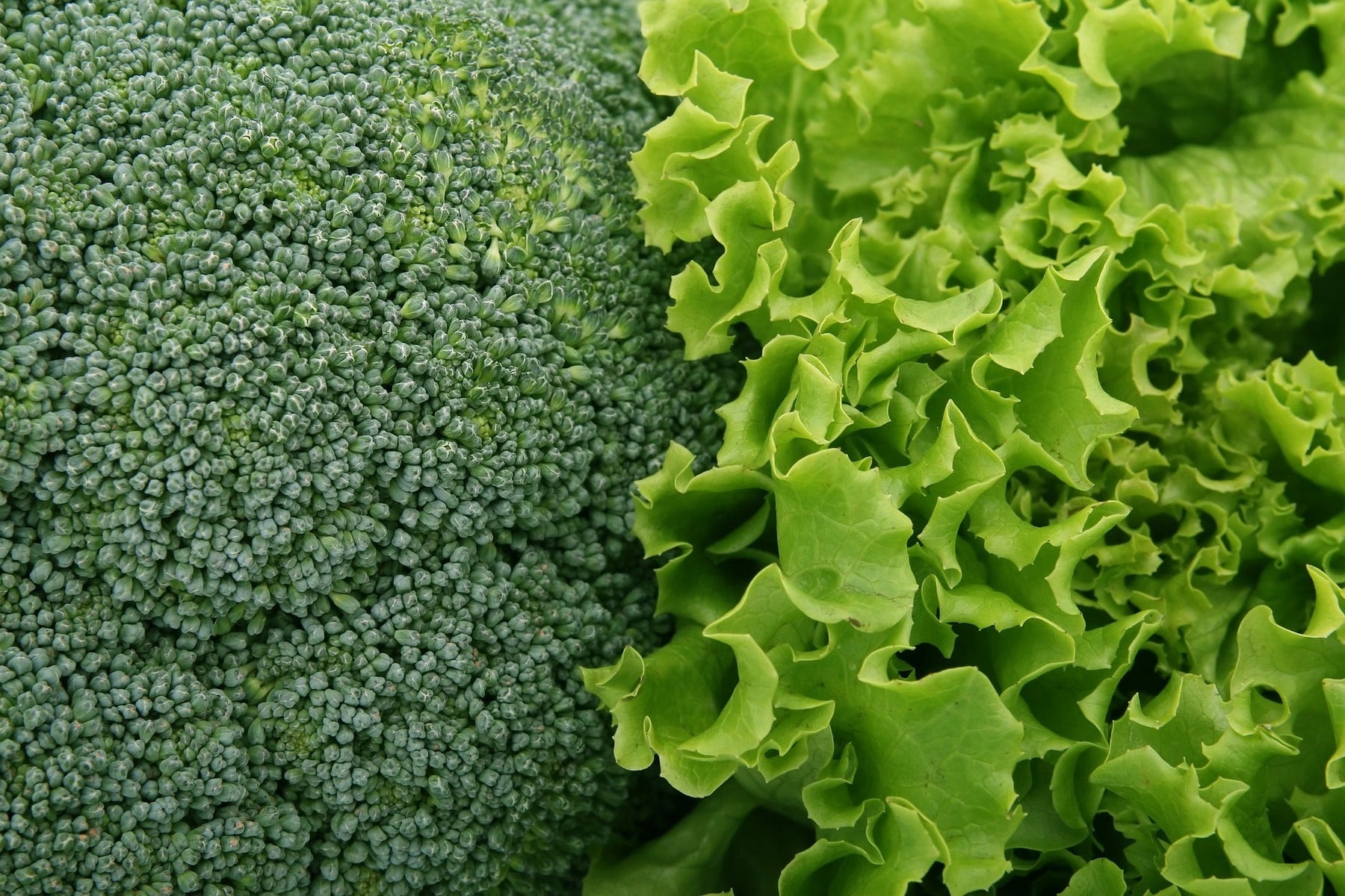 Vitamin K2 Benefits & Uses: Why It’s Essential for Your Health