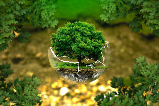 Vitamins and Supplements Going Green