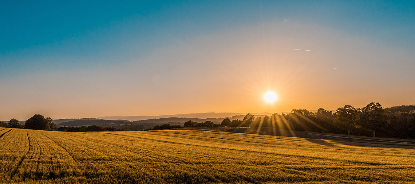 Why Should You Wake Up Earlier