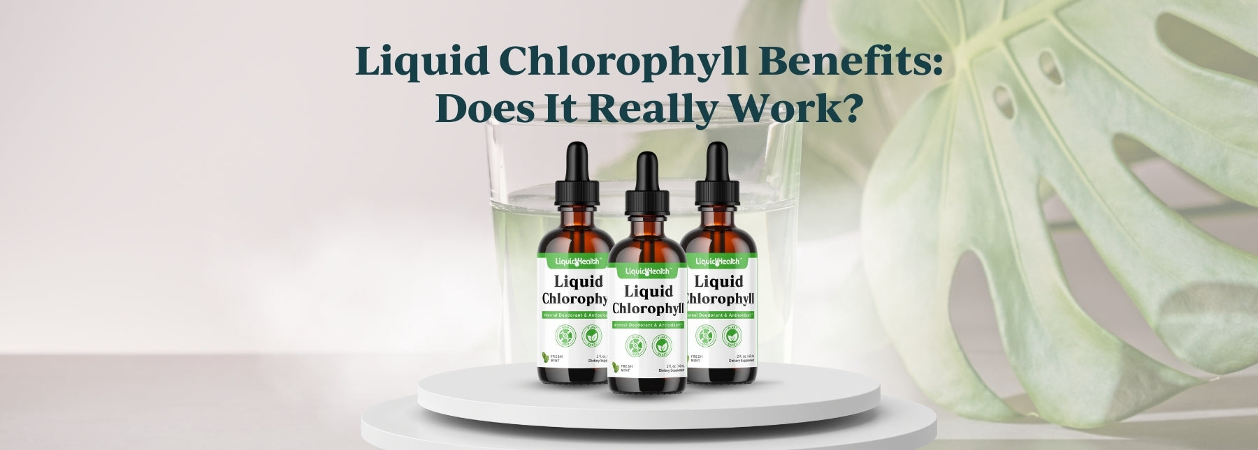 Liquid Chlorophyll Benefits: Does It Really Work?