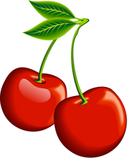 Liquid Bariatric Vitamin B12 Supplements