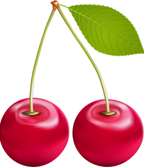 Daily Multi-Mineral Bariatric Liquid Supplement