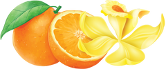 Calcium & Magnesium Bariatric Liquid Vitamins