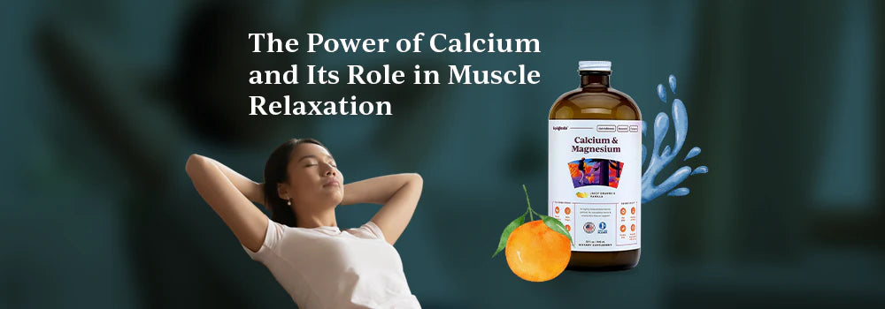 Role of Calcium in Muscle Contraction and Relaxation