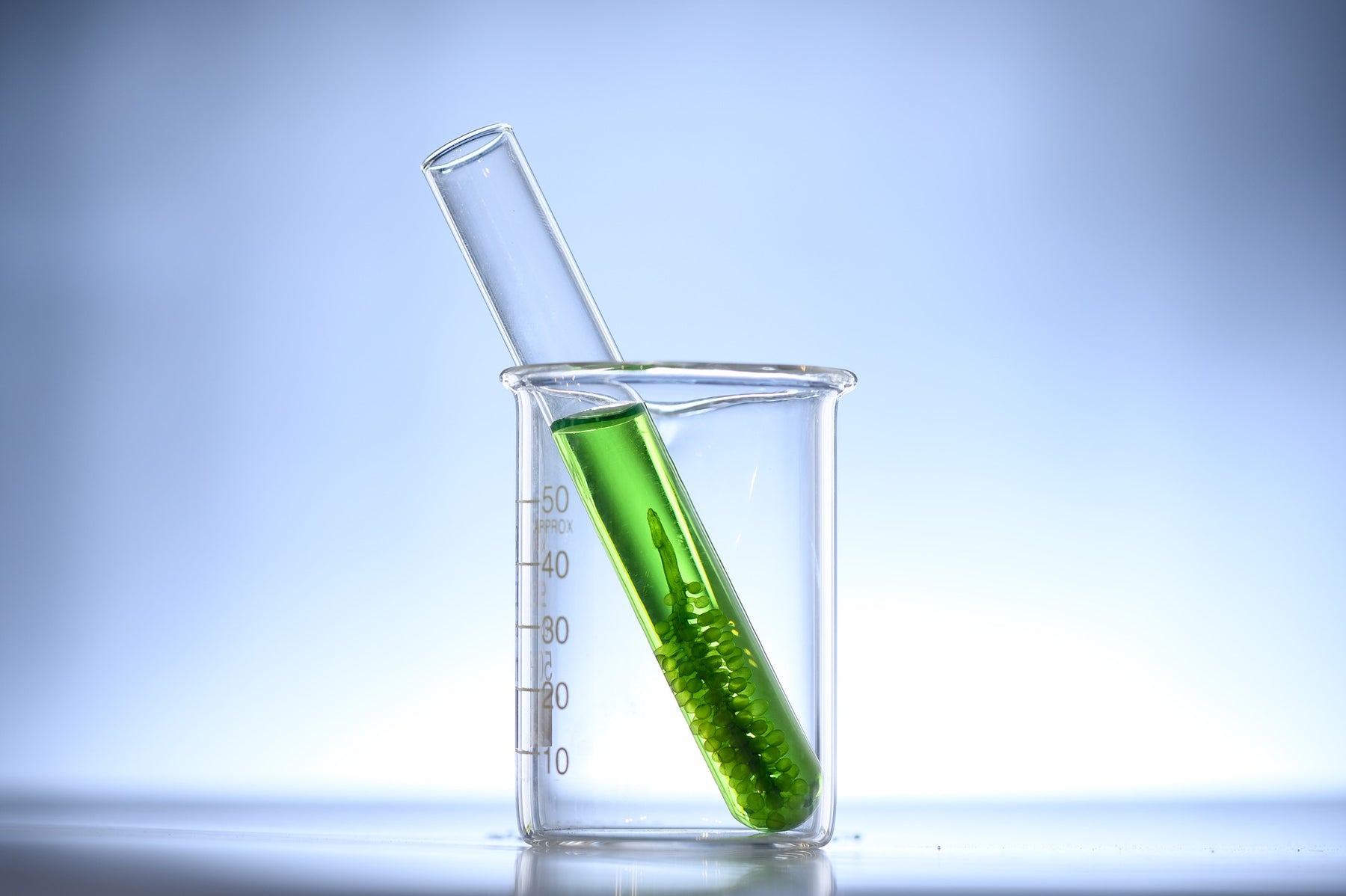 Recipient with green liquid into a glass recipient