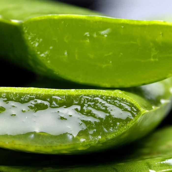 Why Aloe Vera Juice?
