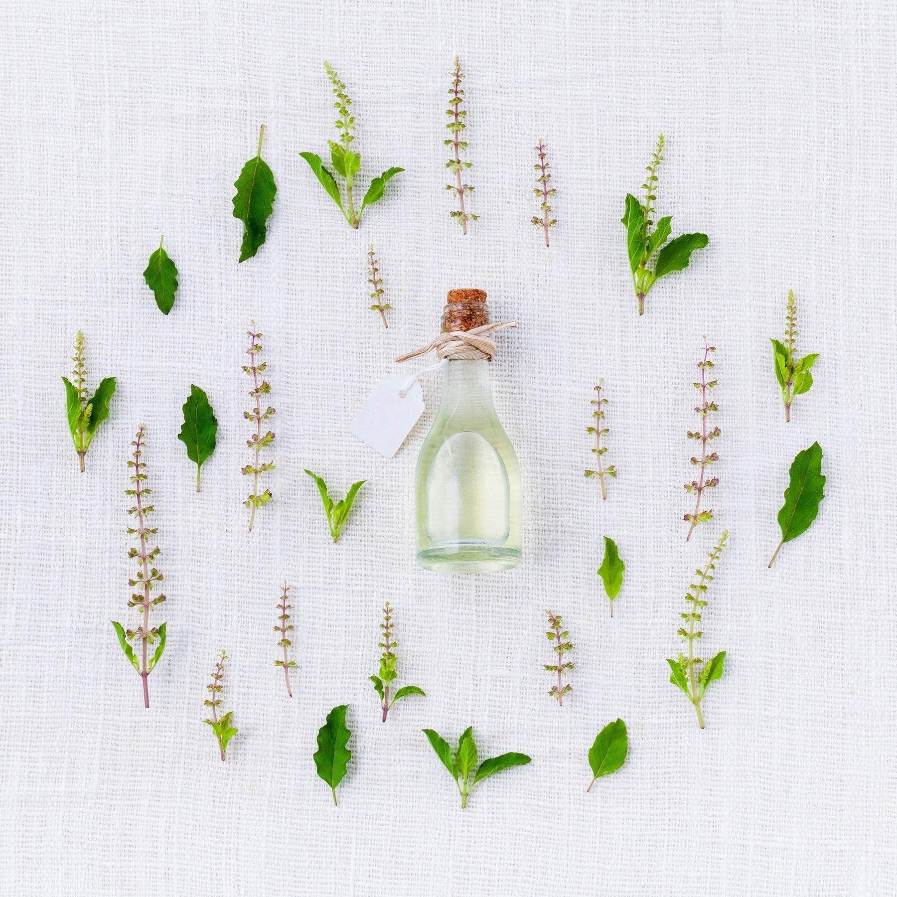 Transparent bottle surrounded by herbs