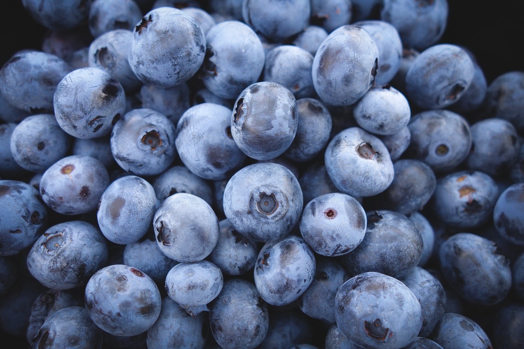 Fresh blueberries piled together