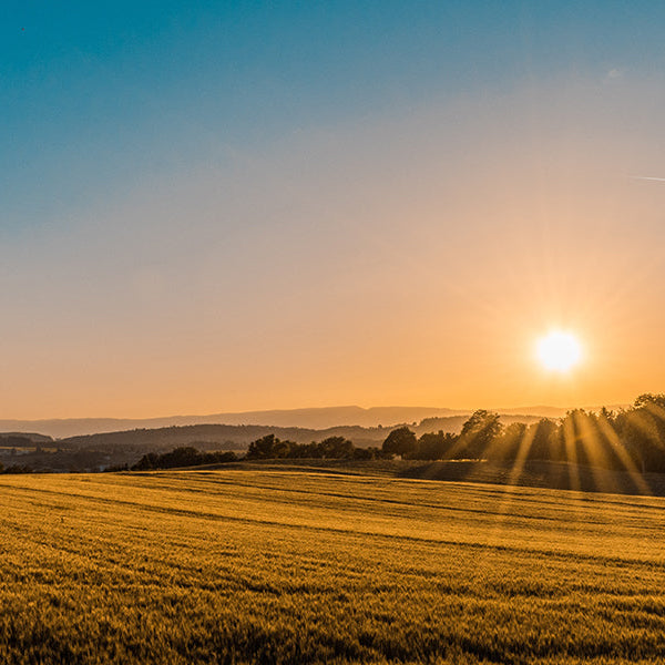 Why Should You Wake Up Earlier