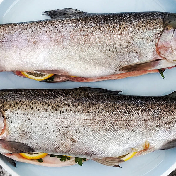 Healthiest Fish in the Sea