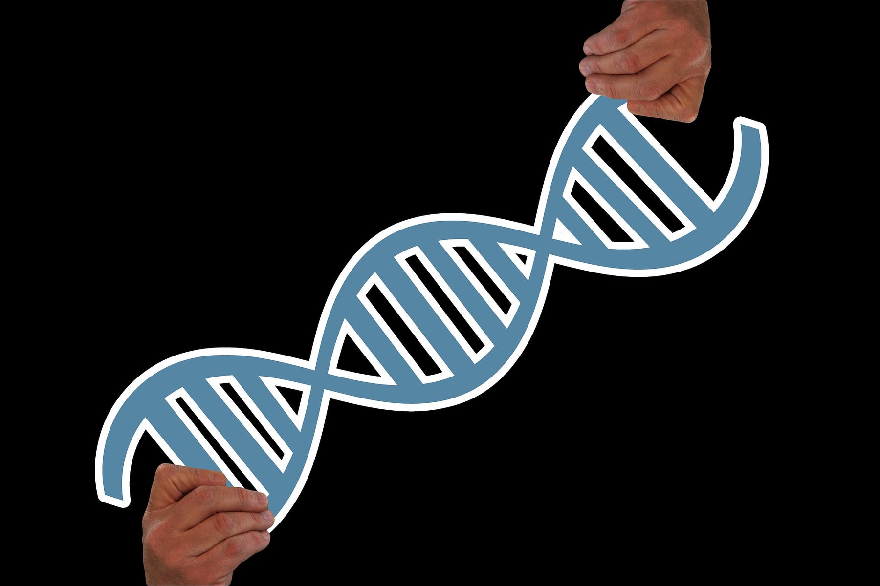 Two hands holding DNA cartoon
