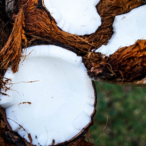 Health Benefits of Coconuts
