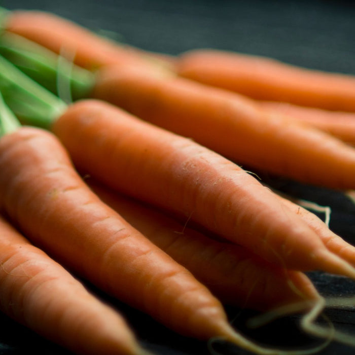 Vitamin A Deficiency And How to Fix It