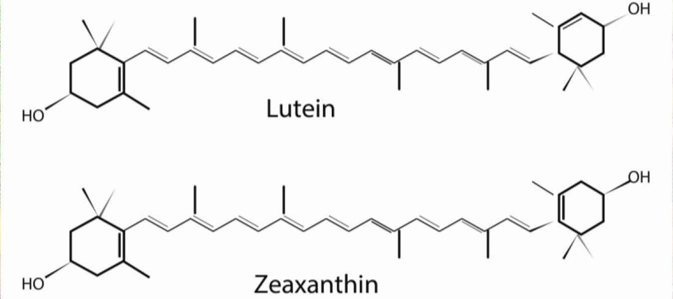 Lutein and Zeaxanthin representations