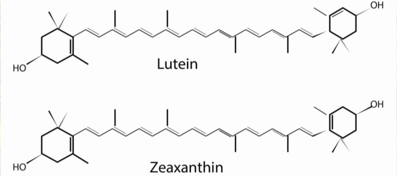 How Lutein and Zeaxanthin Benefit Vision