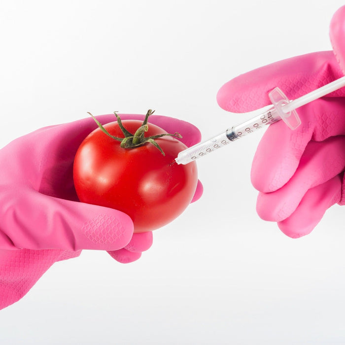 What Everybody Should Know About GMOs