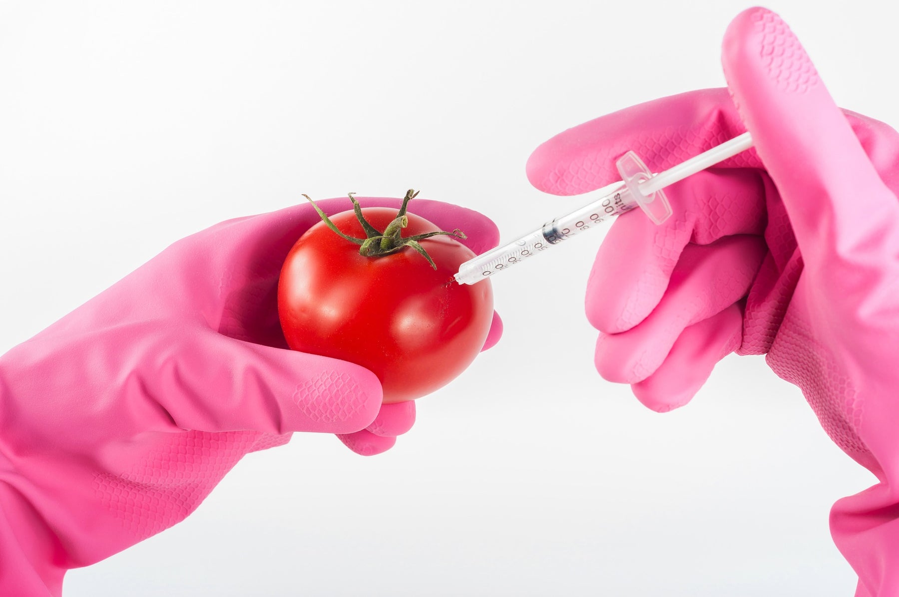 Person with pink gloves injecting liquid into a tomato