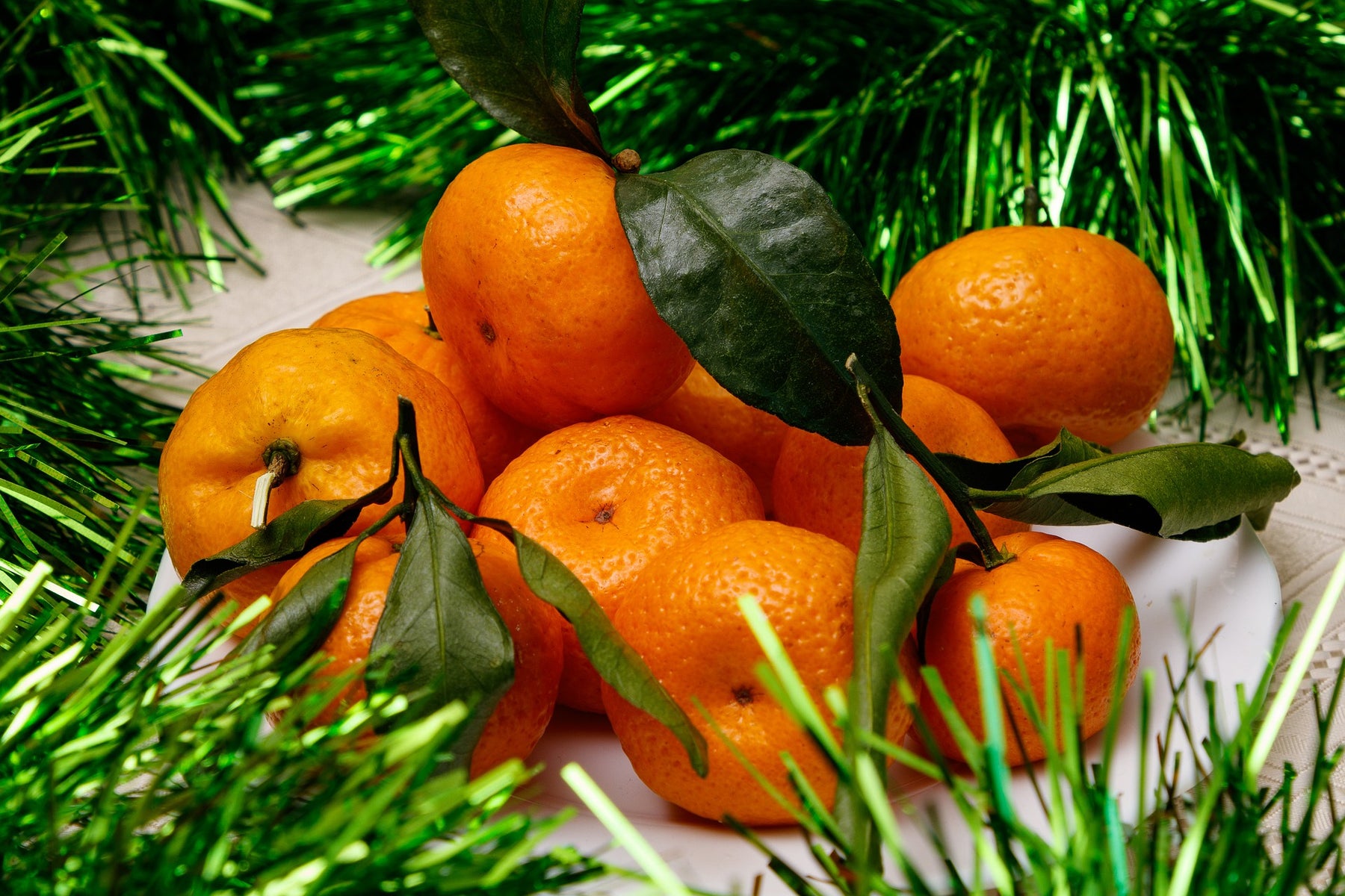 Clementines next to a leaves of a Christmas tree