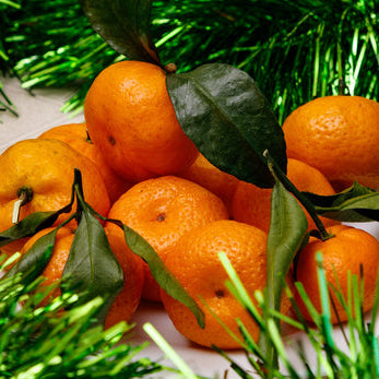 5 Simple Steps for a Healthy New Year