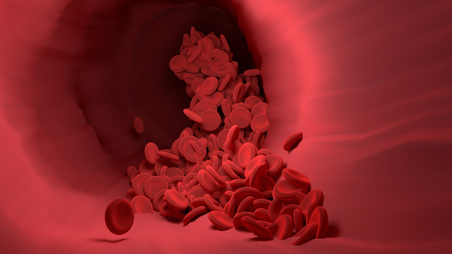 Red blood cells travelling through the body