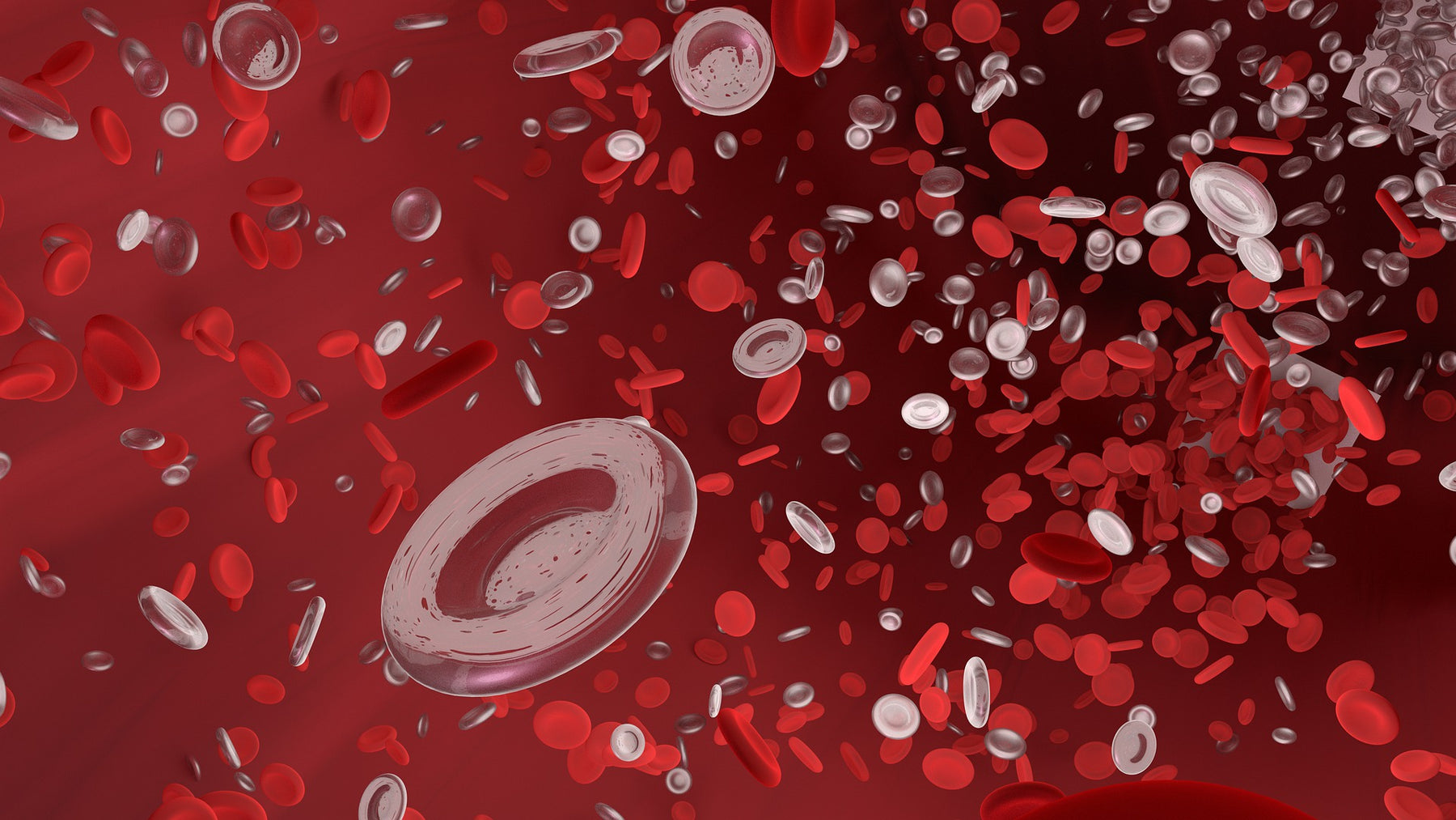 Red blood cells travelling