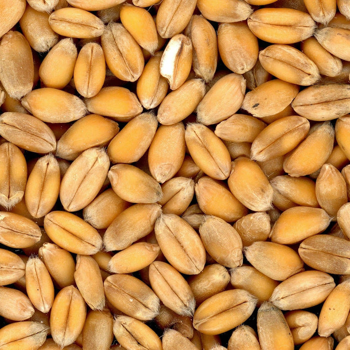 The Simple Beauty of Whole Foods