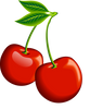 Organic-Sour-Cherry