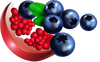Pomegranate-Berry