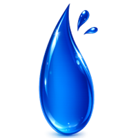 Liquid Zinc Supplement Drops (Organic, Ionic)