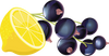 Meyer-Lemon